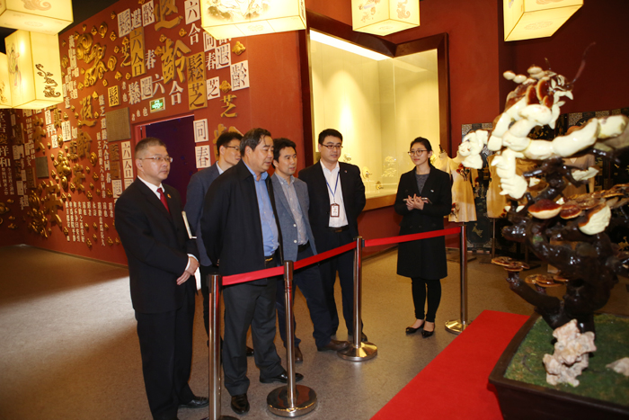 專(zhuān)題報(bào)道