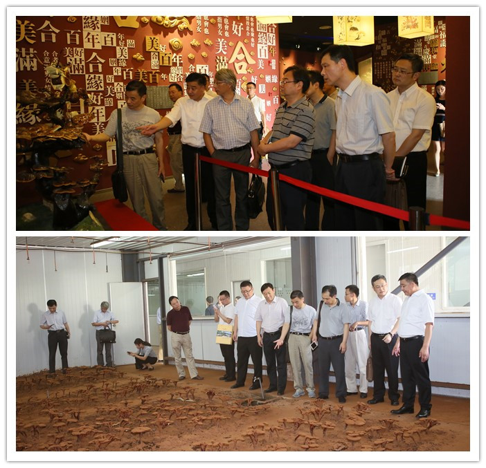 圖片關鍵詞 圖片關鍵詞