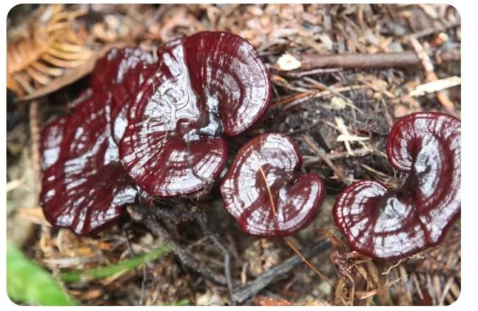 圖片關鍵詞 圖片關鍵詞