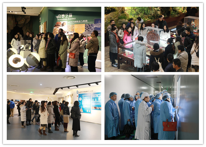 圖片關鍵詞 圖片關鍵詞