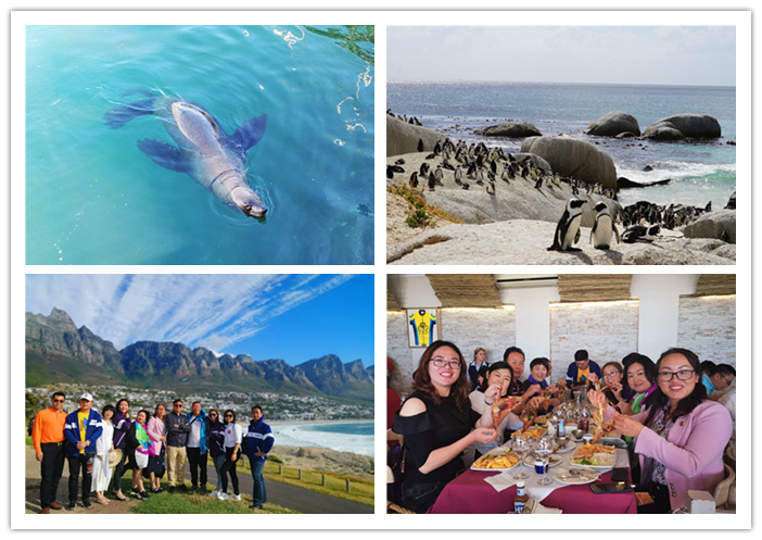 圖片關鍵詞 圖片關鍵詞