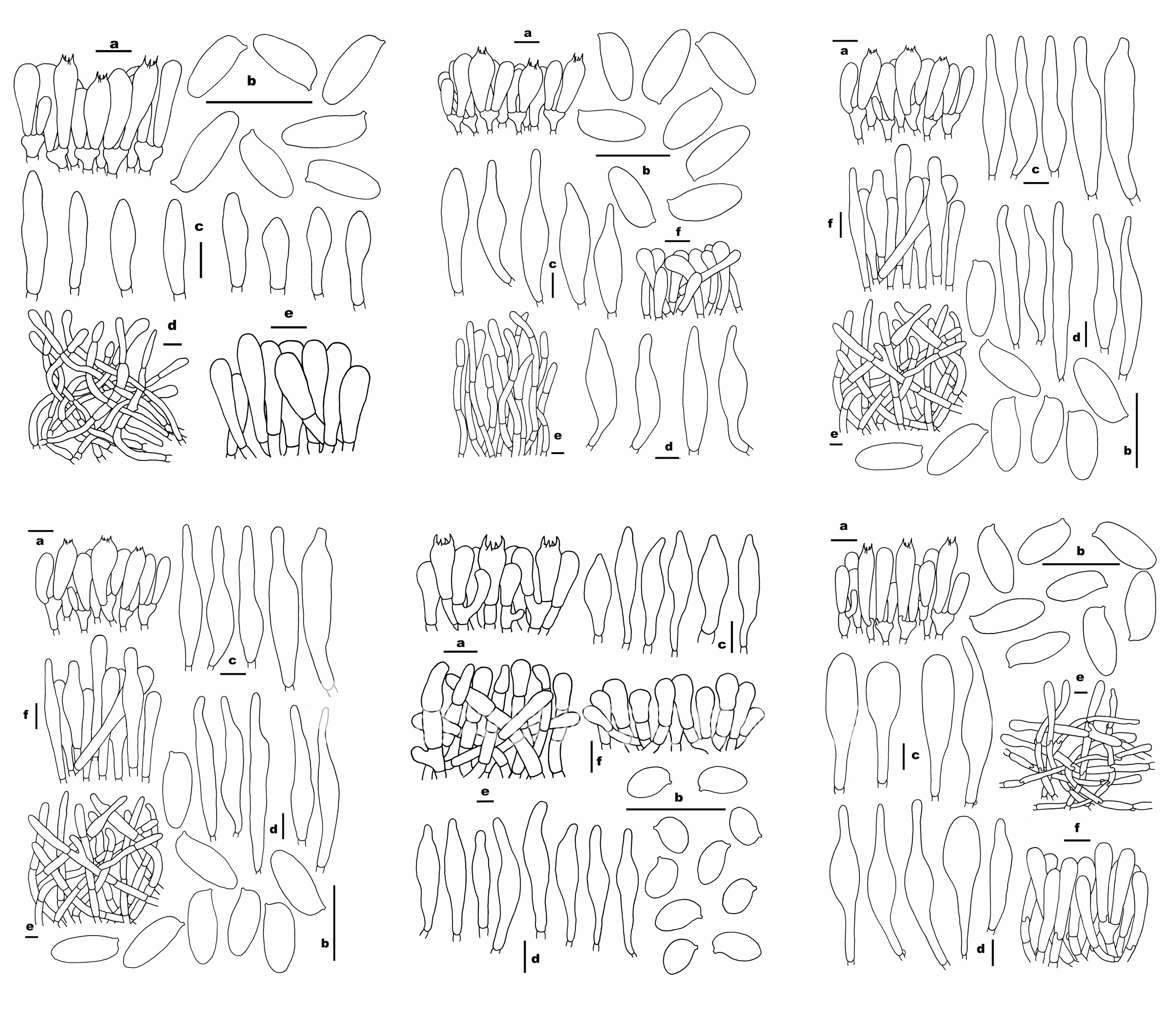 圖片關(guān)鍵詞