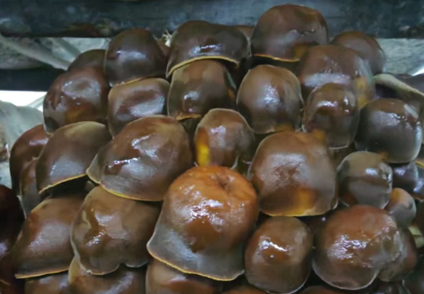 圖片關(guān)鍵詞