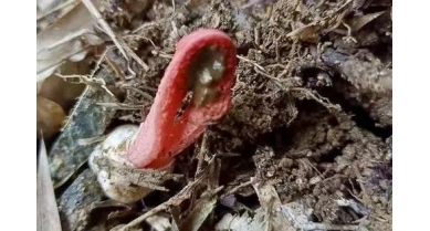 行業(yè)動態(tài)