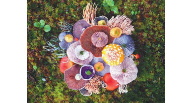 行業(yè)動(dòng)態(tài)